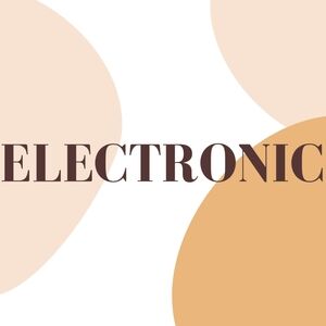 Electronic Section